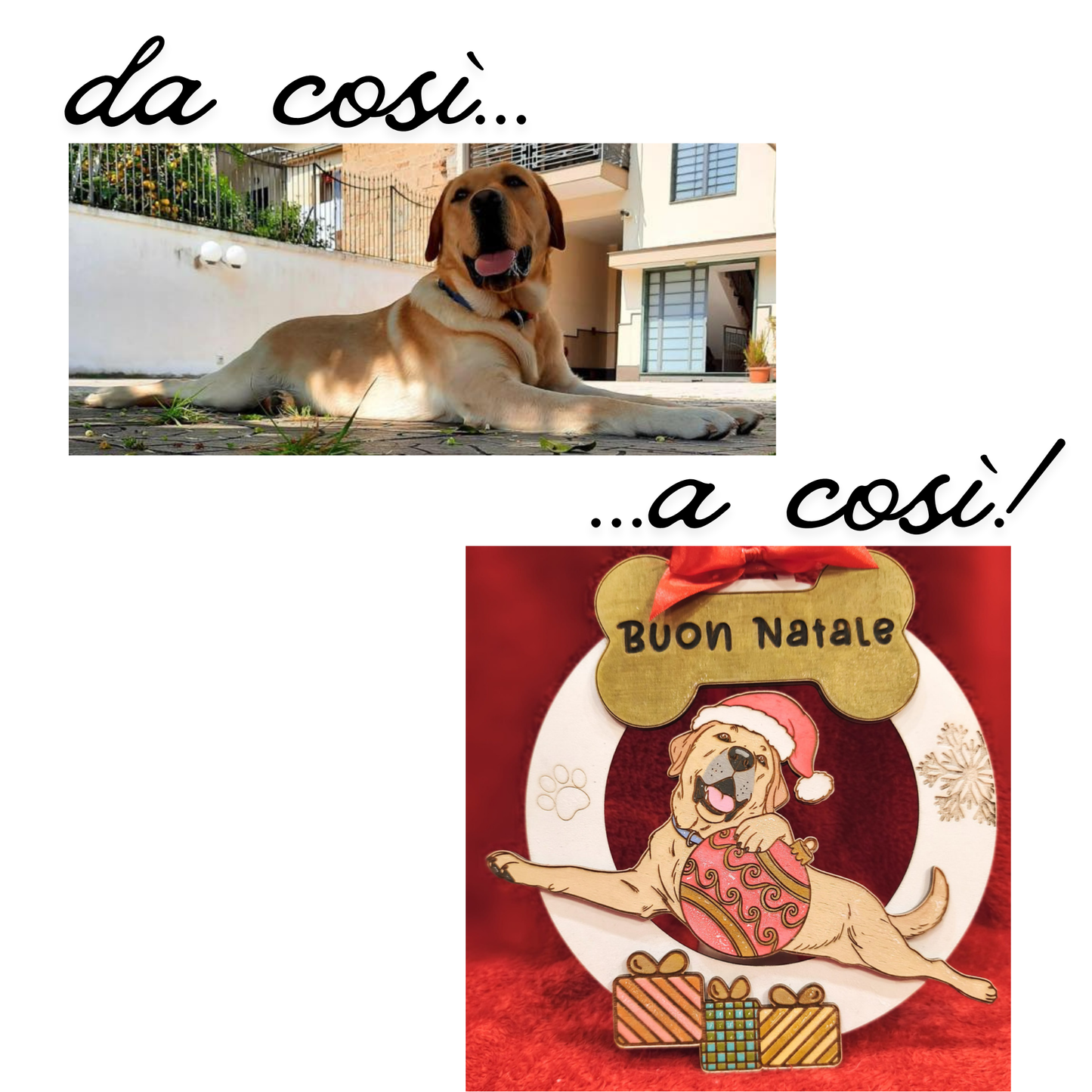 Dog laying outdoors and custom Christmas ornament with cartoon dog, 'Buon Natale' text